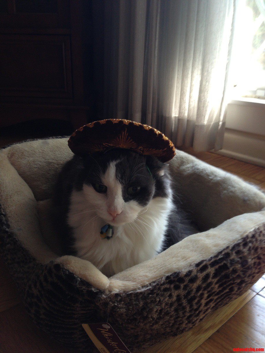 We Found Him Near the Border of Mexico and Don T Let Him Forget
