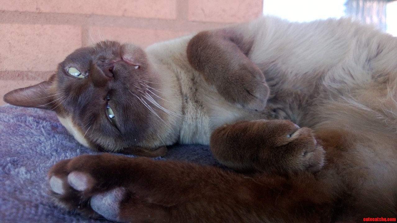 Well  You Sure Are Cute