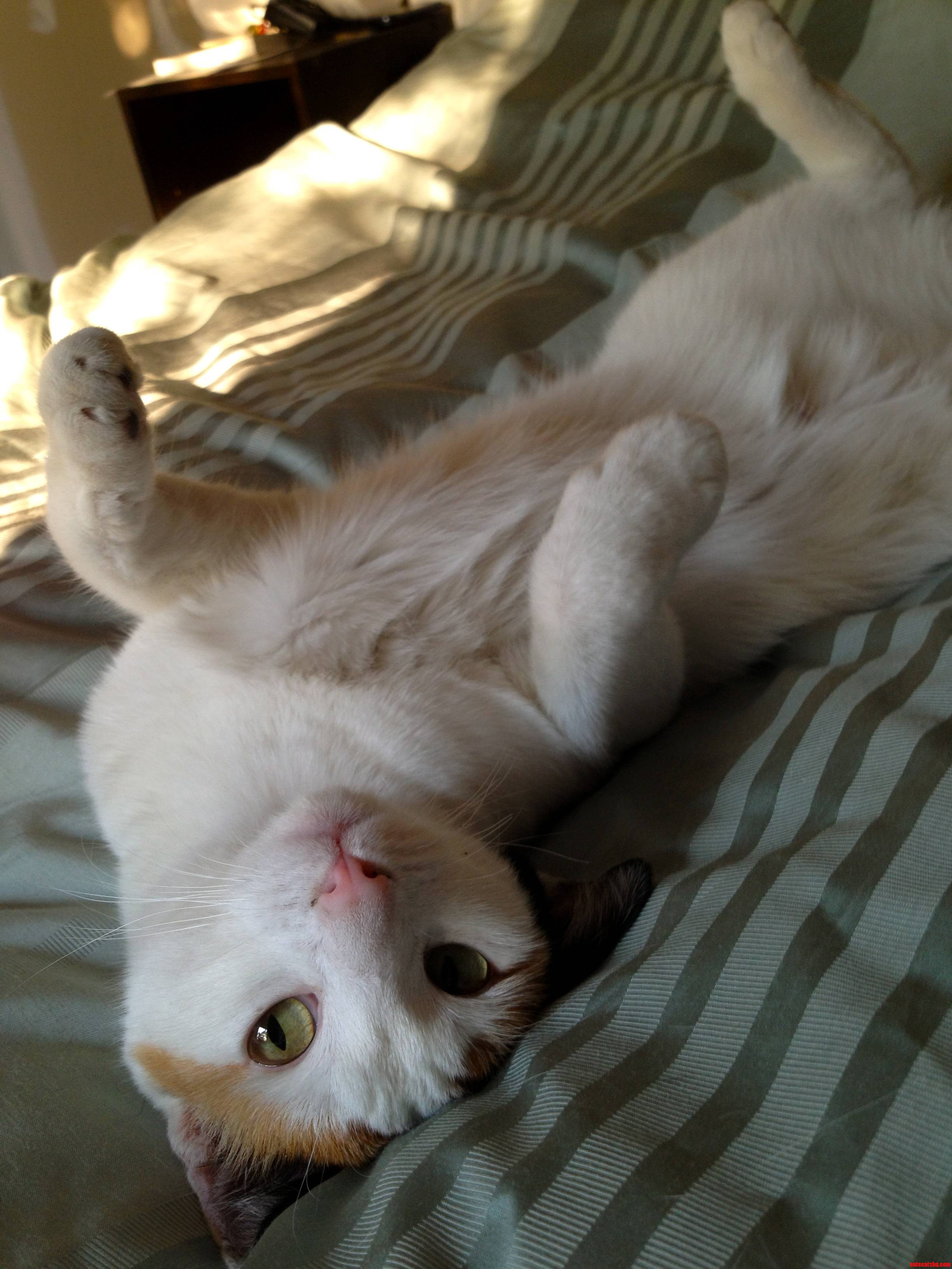 What I Woke Up to This Morning