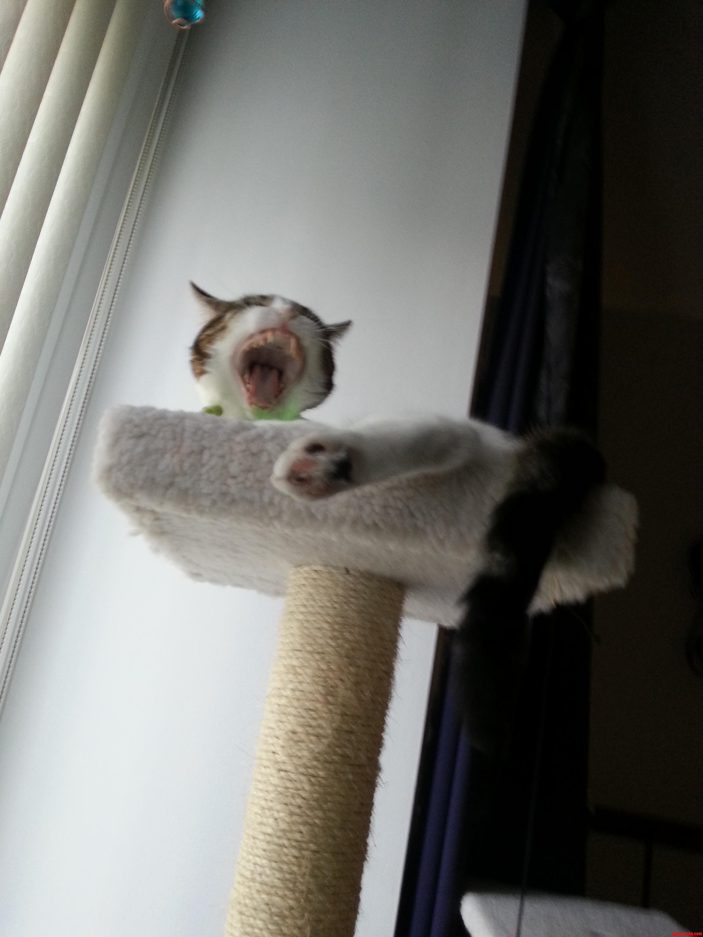 What Was Meant to Be a Cute Picture  Turned Out to Be Quite Terrifying