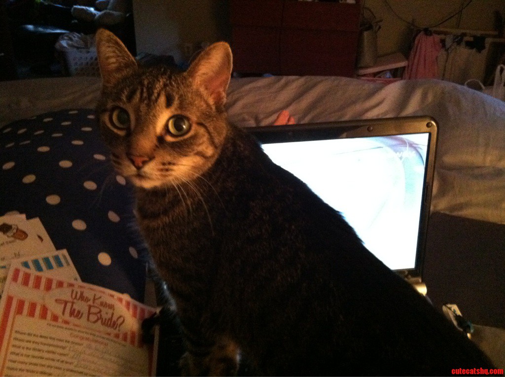 What. You Weren T Looking at That Were You Hey- Scratch My Butt.