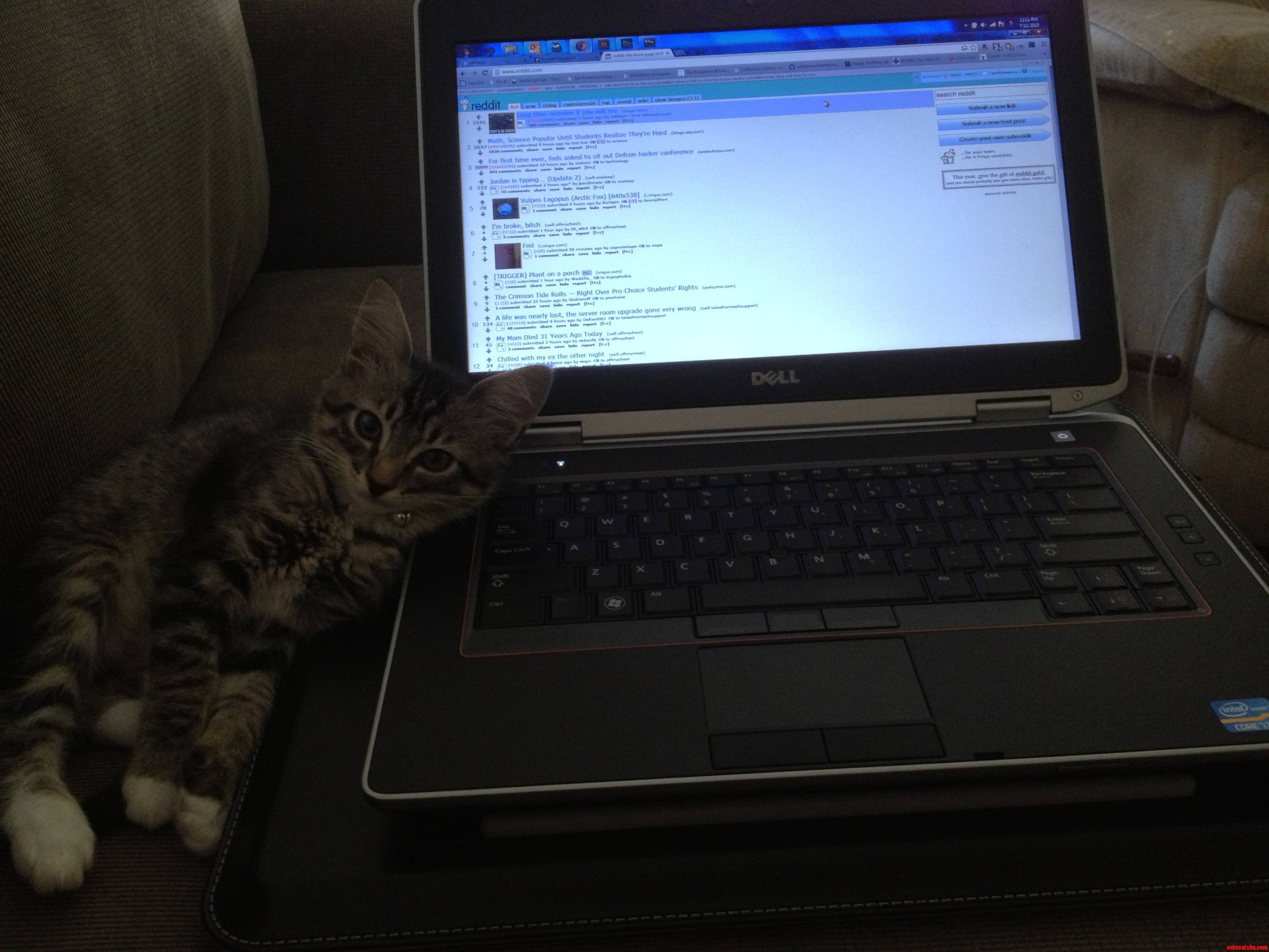 Why Are You Working