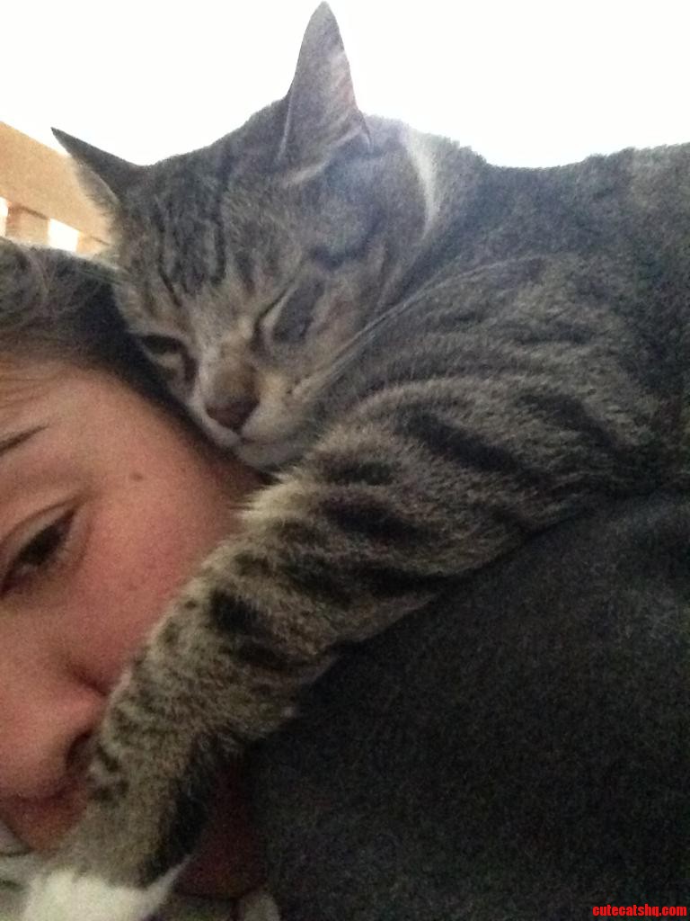 Woke Up Like This. I Don T Think My Cat Wants Me to Get Up Today.
