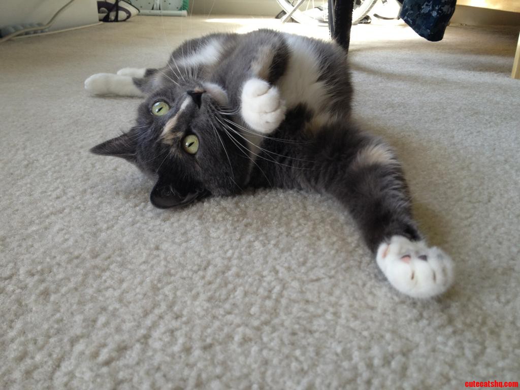 Work That Cuteness Kiki Work It