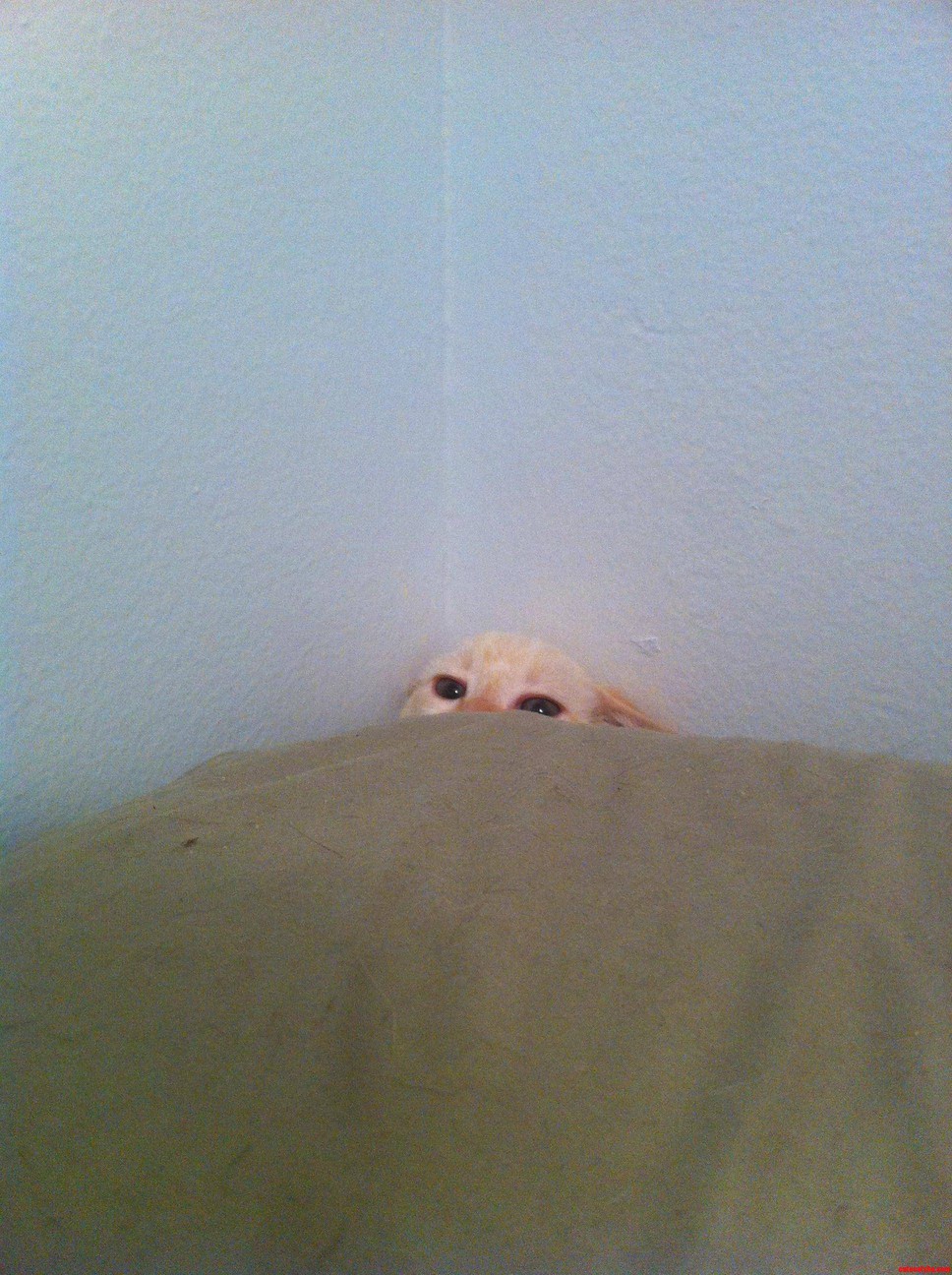 You Are Stuck.