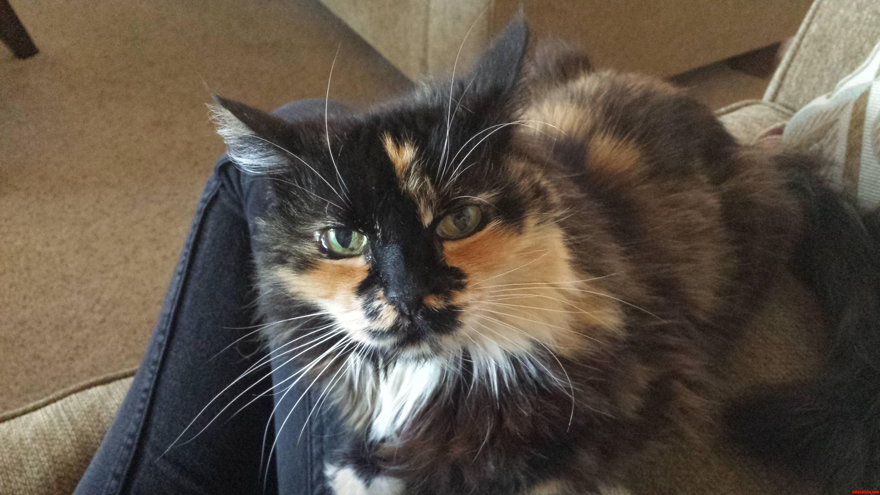 Ally Looks Scared and Upset .   .