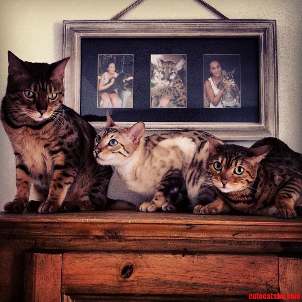 Awkward Family Photo..