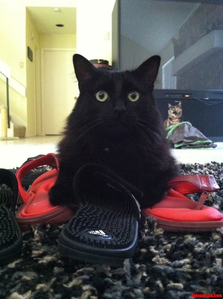 Batman Loves Shoes. Rae Doesn't Like Batman.