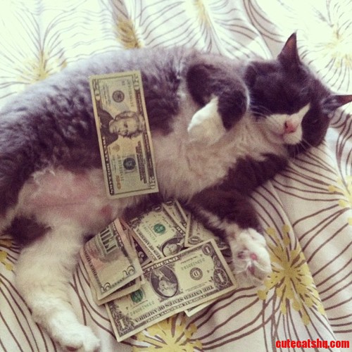 Big Poppa Making It Rain Dollabill .