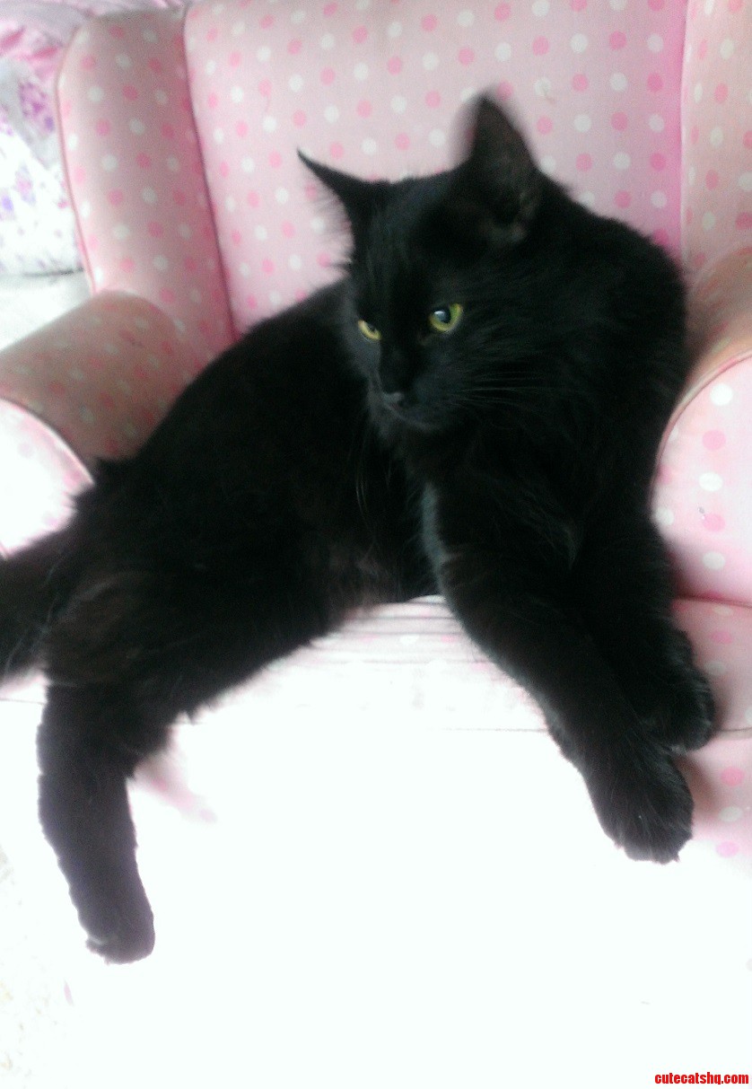 Big Boy in His Pretty Pink Chair
