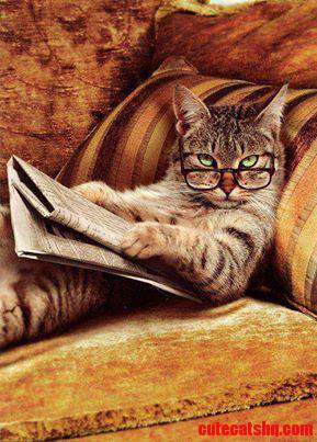 Cant You See Im Busy.