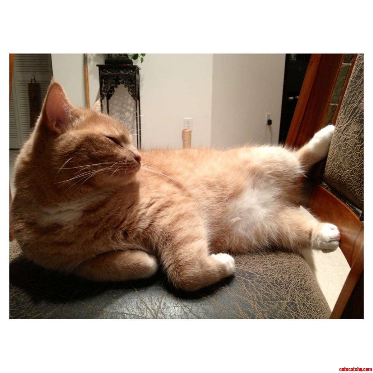 Cmon Paint Me Like One of Your French Women