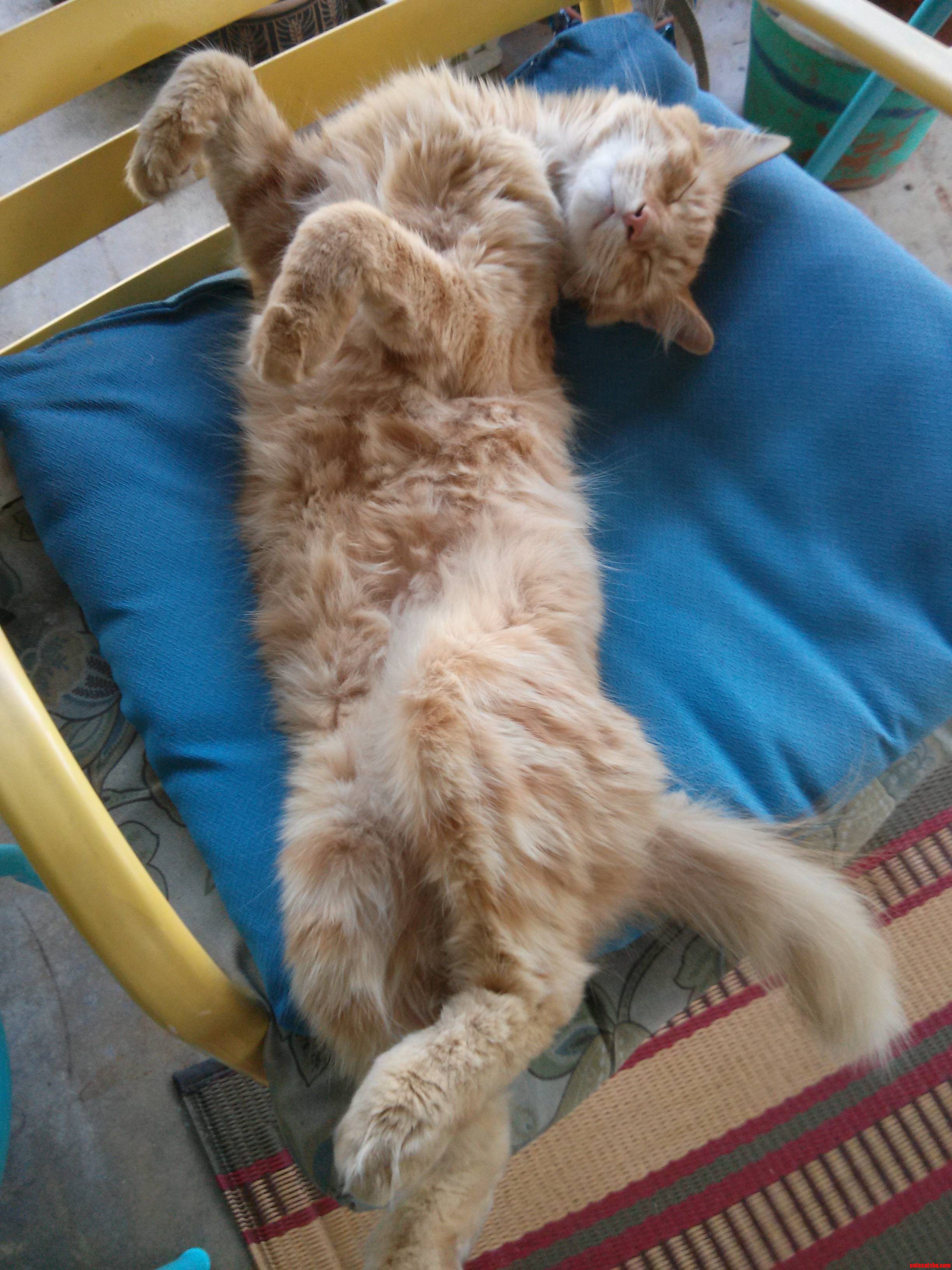 Don T Know If She S Relaxed or Dead