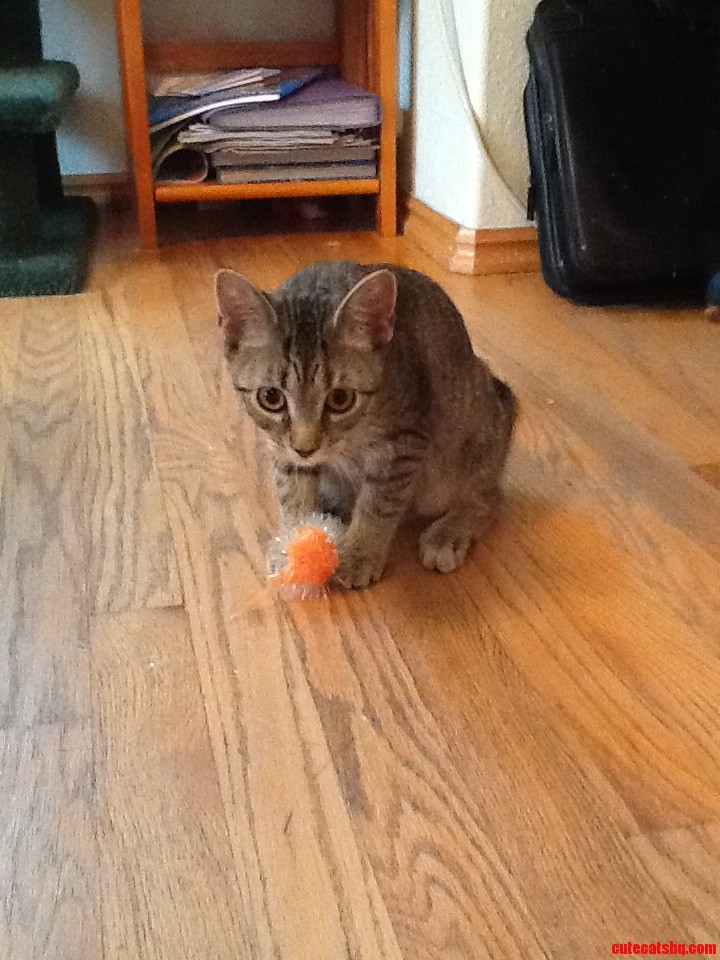 Dont Mess with My Fuzzy