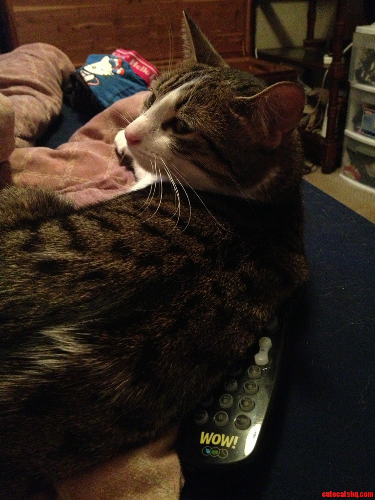 Every Time I Want to Skip Commercials  My Remote Hides.