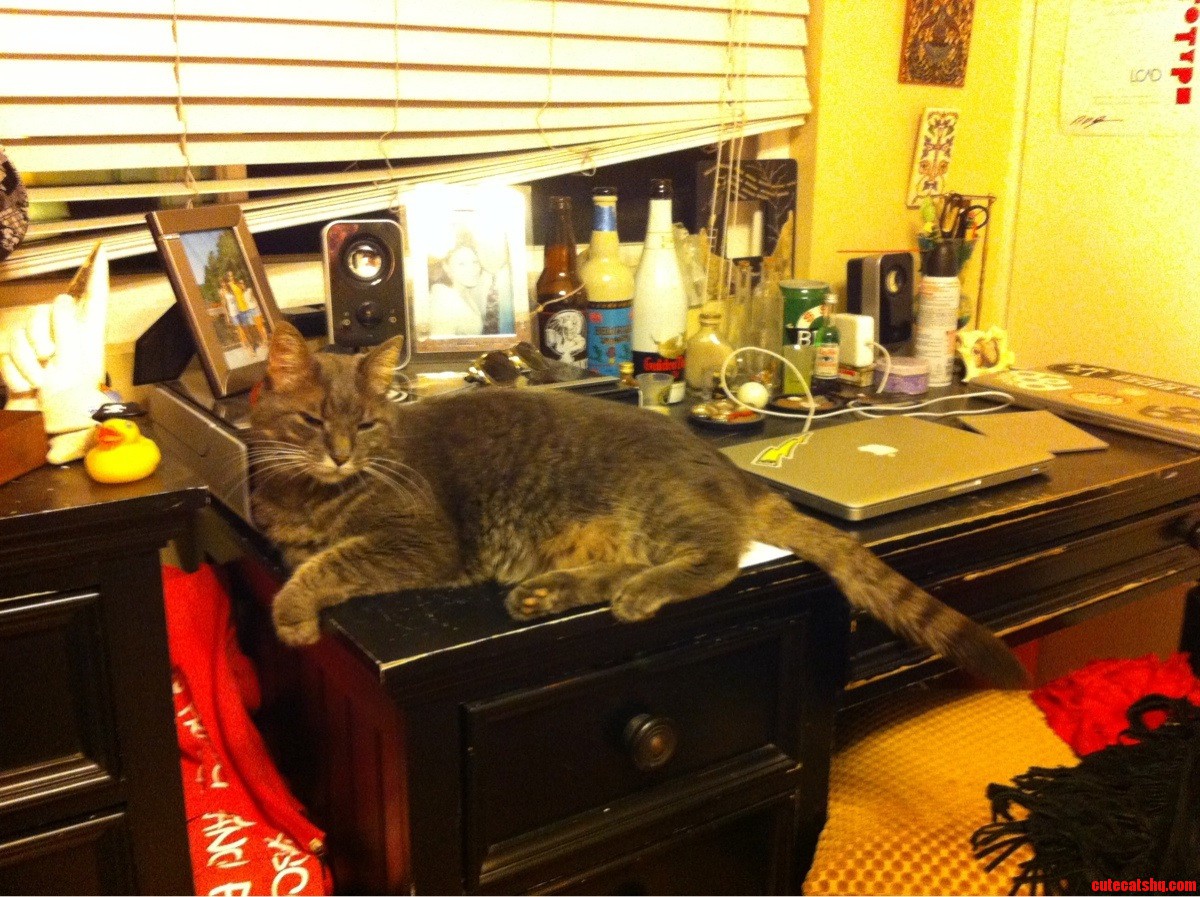 Everywhere Is a Bed