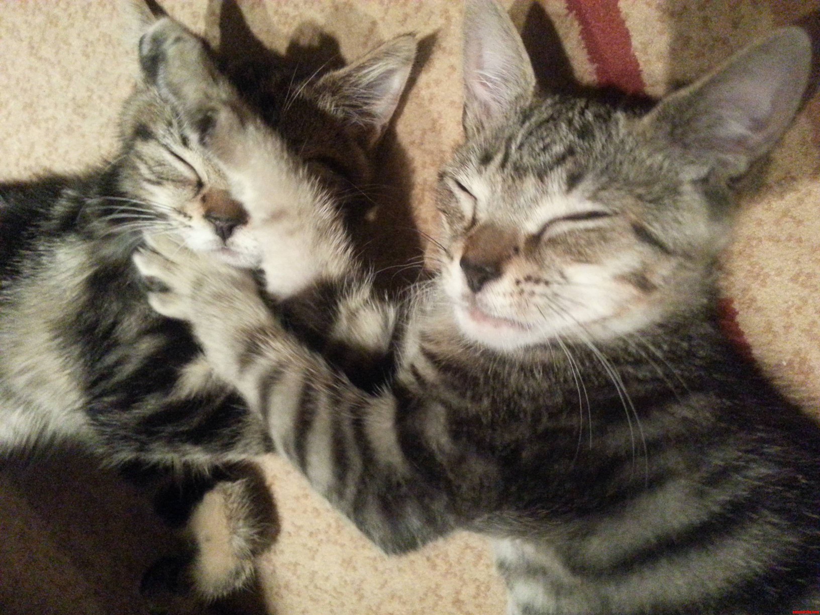 Finley and  Benson