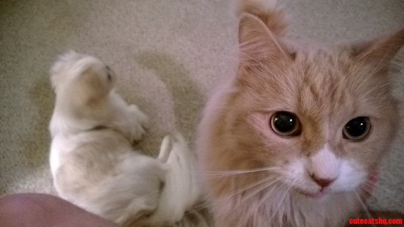 Have You Seen This Thing You Left on the Floor Over Here