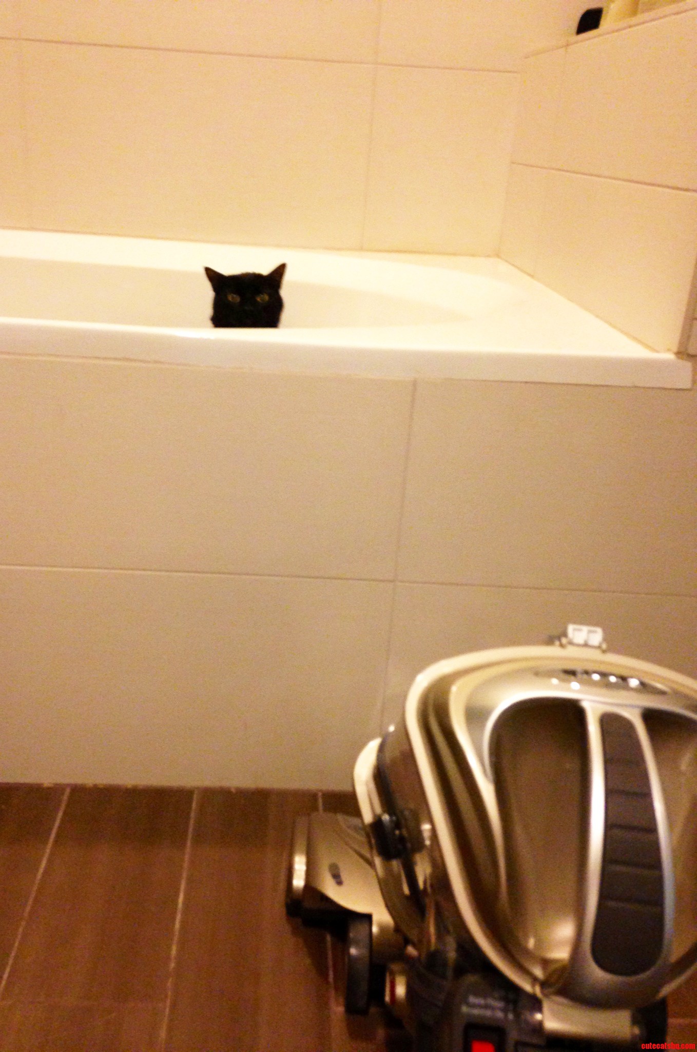 He Didn't Quite Approve of the Vacuum.