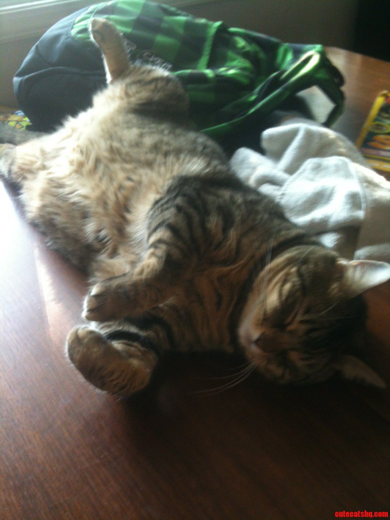 He Fell Asleep on the Table Like This  Iphone Quality