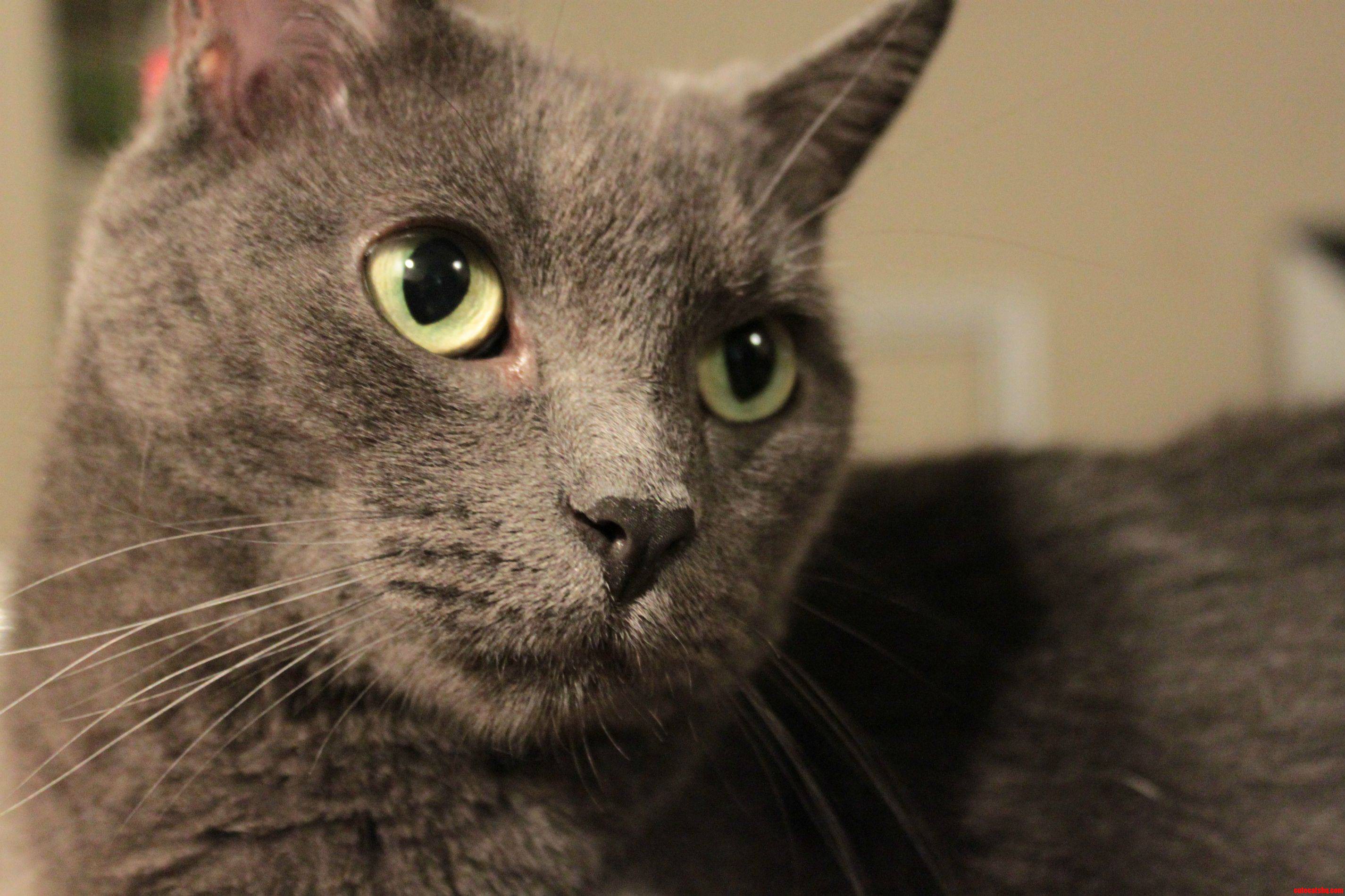 He Has Many Names. We Mostly Call Him Twelve