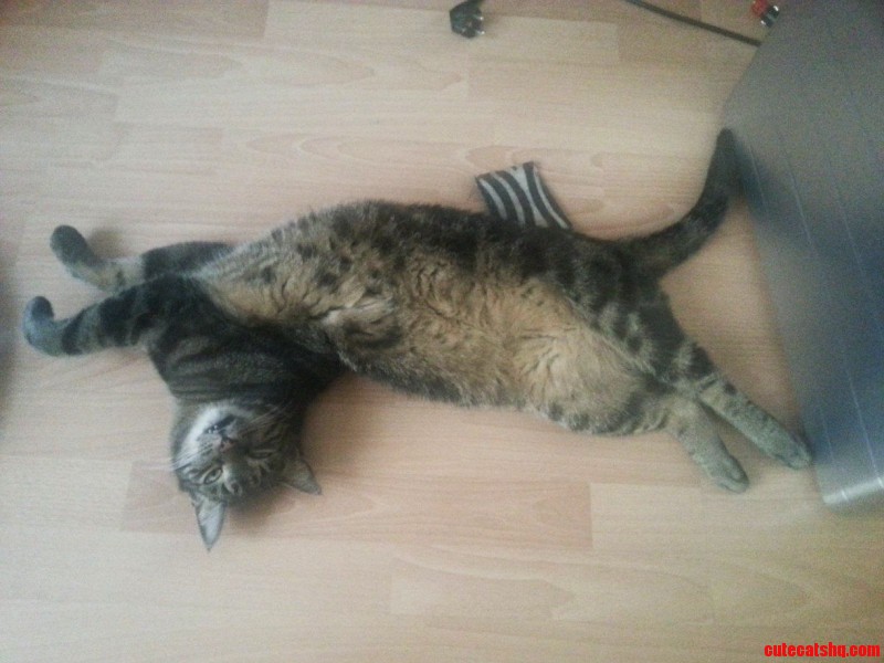 He May Be Broken.