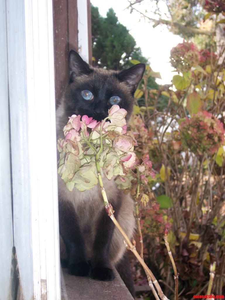 He Thinks He's Hidden.