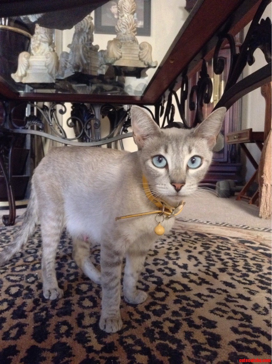 Her Name S Lady