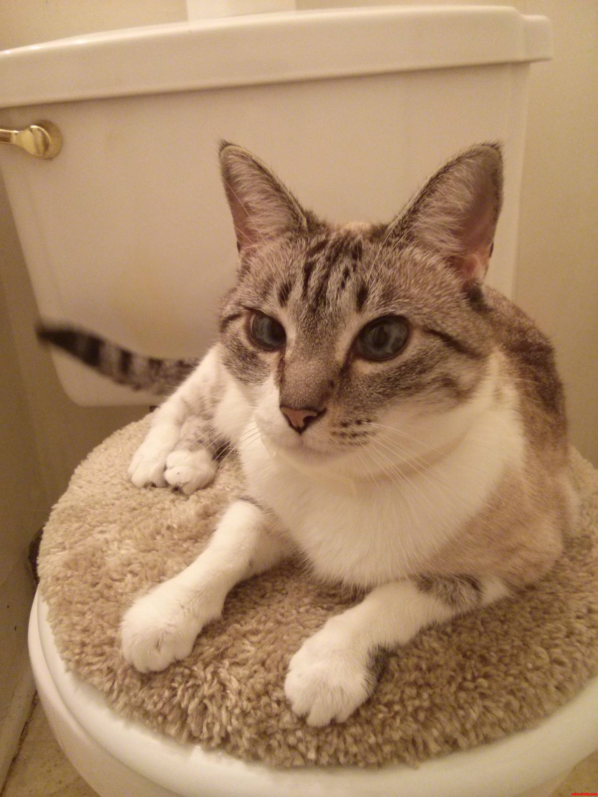 Her New Favorite Lounge Spot Is Really Inconvenient.