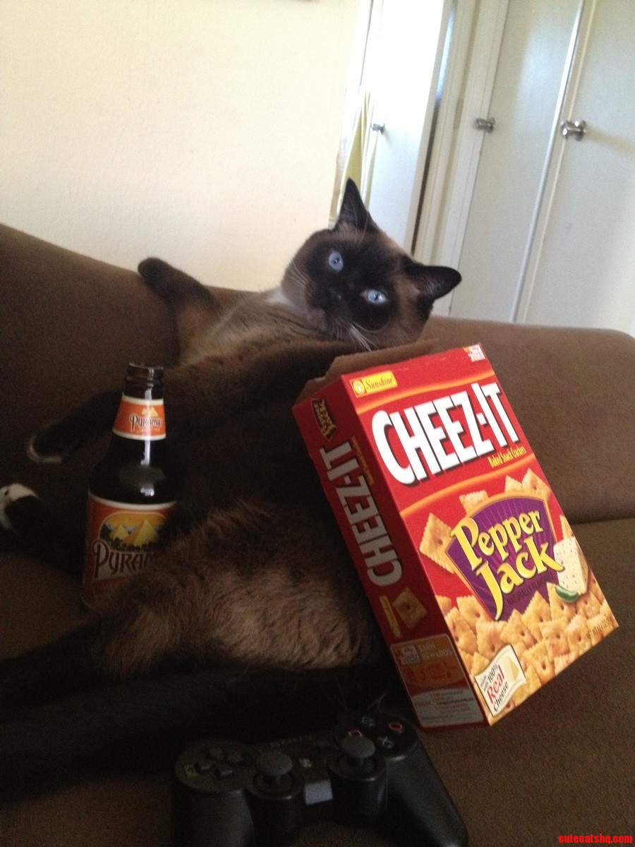 He's a Party Animal