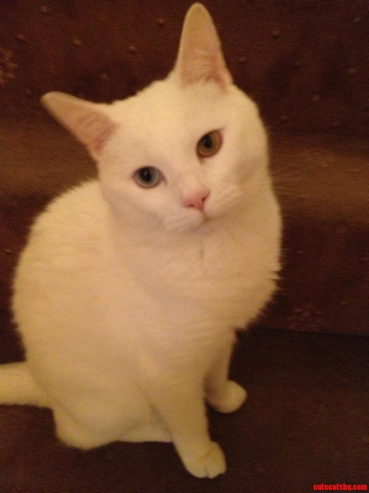 He's Name Is Hunter