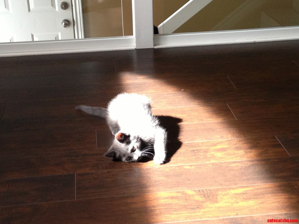 His Fist Time Discovering the Sun Spot