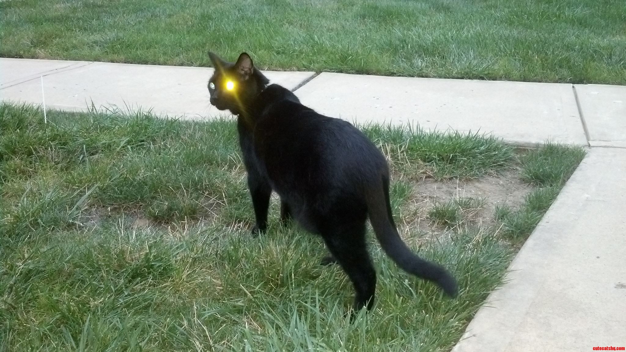 His True Form Shining Through