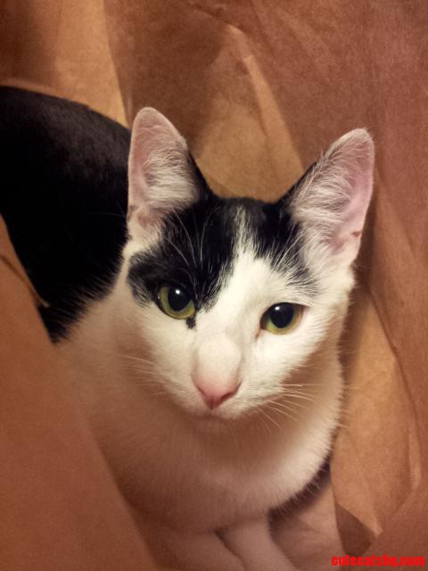 Hogan Turning on the Charm Offensive for the Camera.