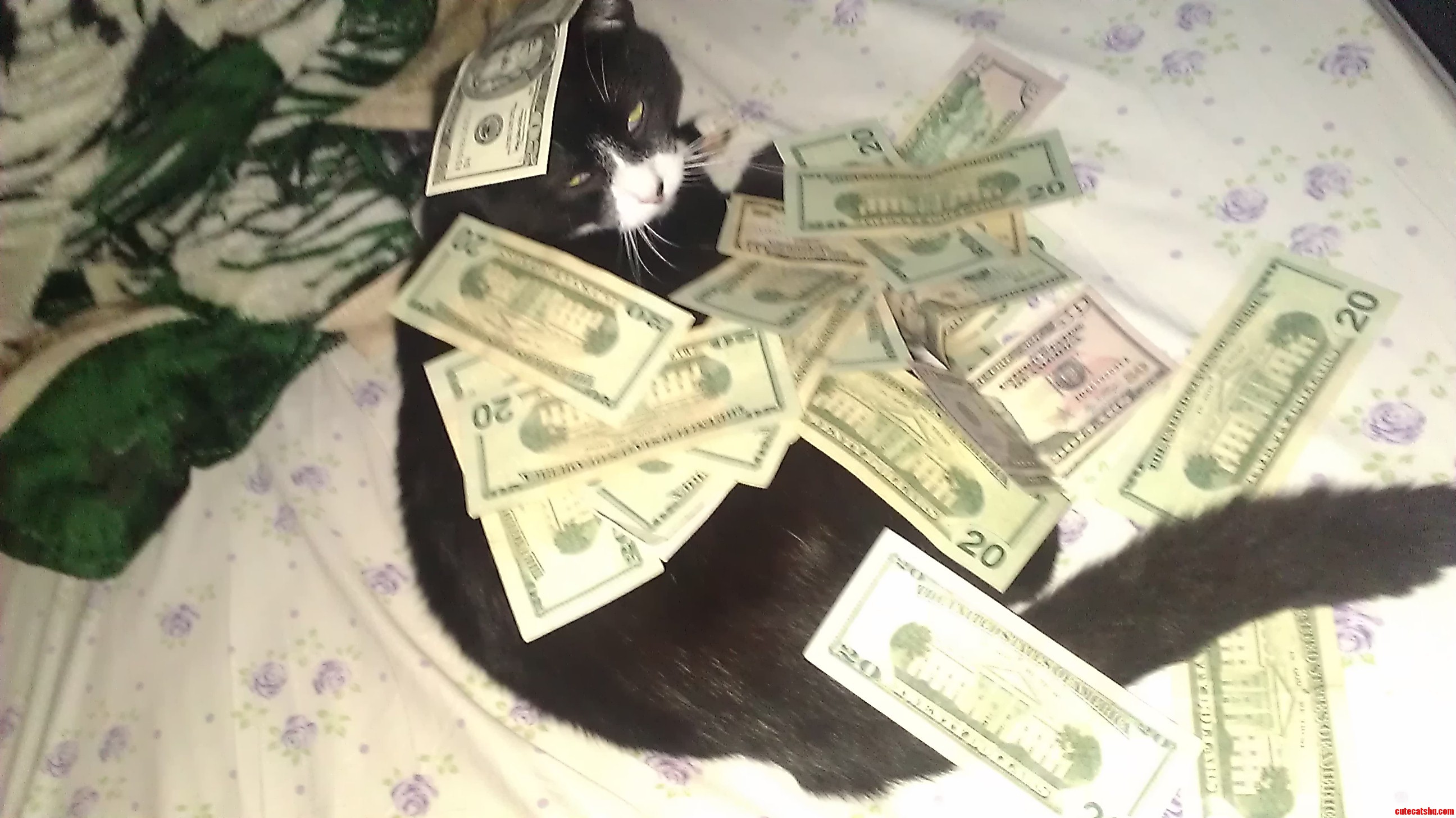 How I Use My Money