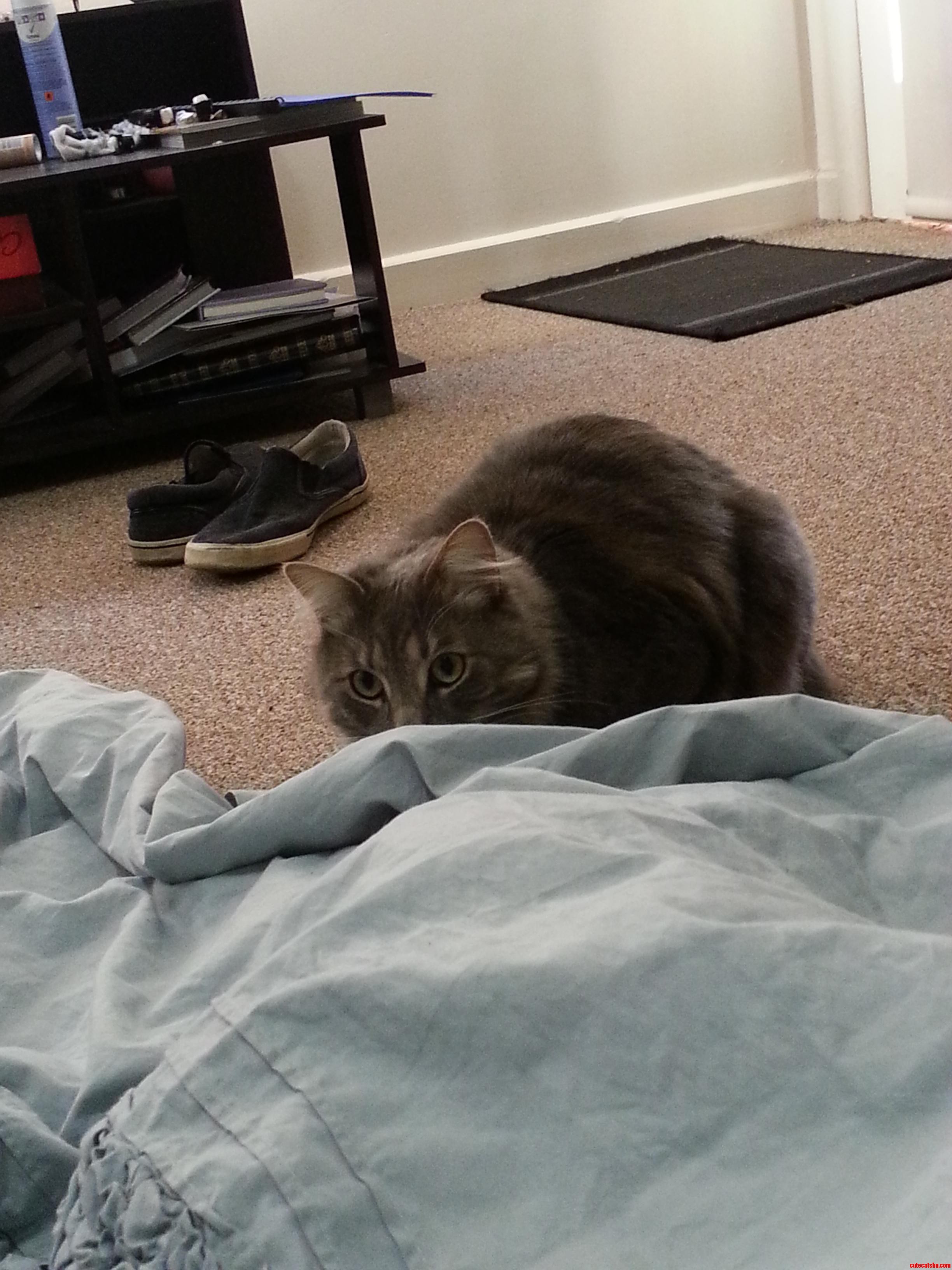 I Am So Sneaky. You Won't Even Know What Hit Your Feet.