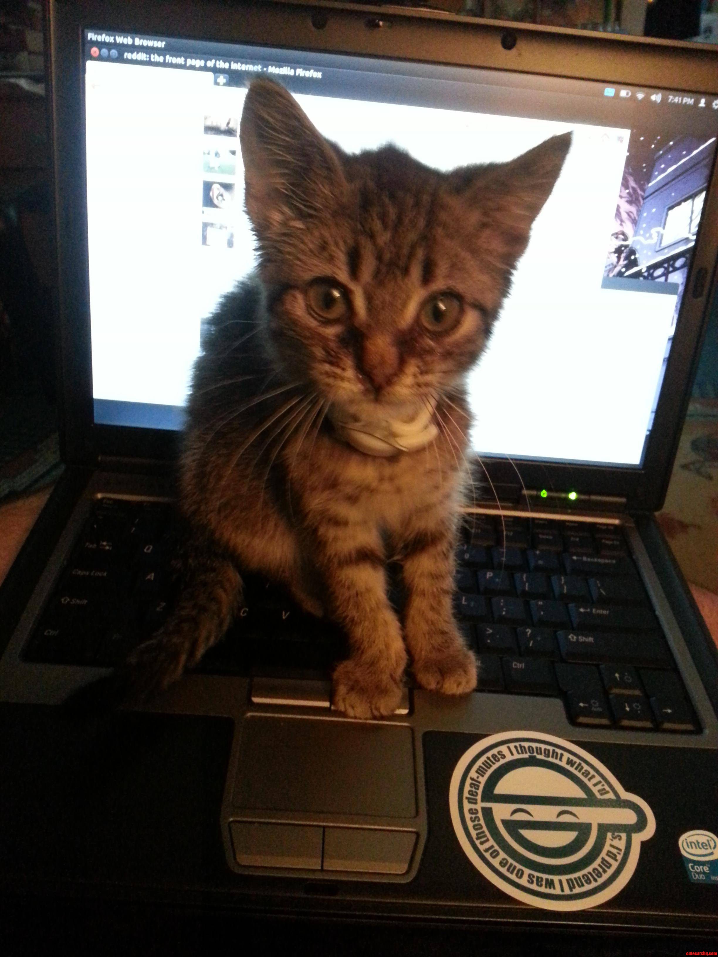 I Guess She Doesnt Want Me Browsing