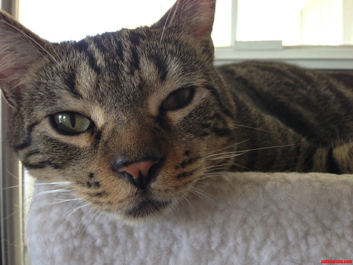 I Heard I D Get Famous for Being Grumpy. Is It Working