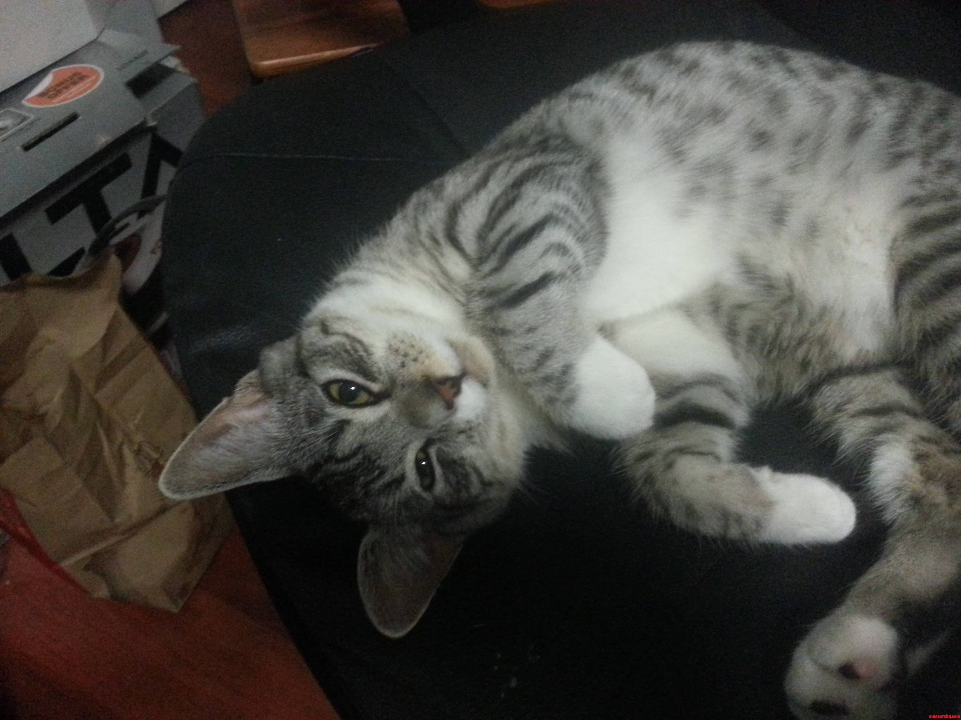 I May Have Woken Up Cloud During His Sleep..
