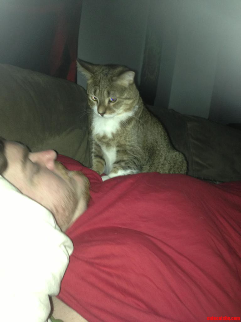 I Own You