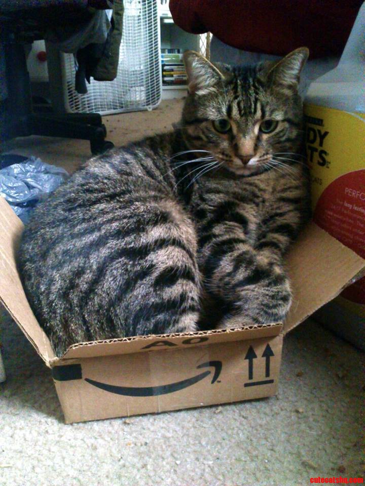 I Sits  Even If I Don't Fits