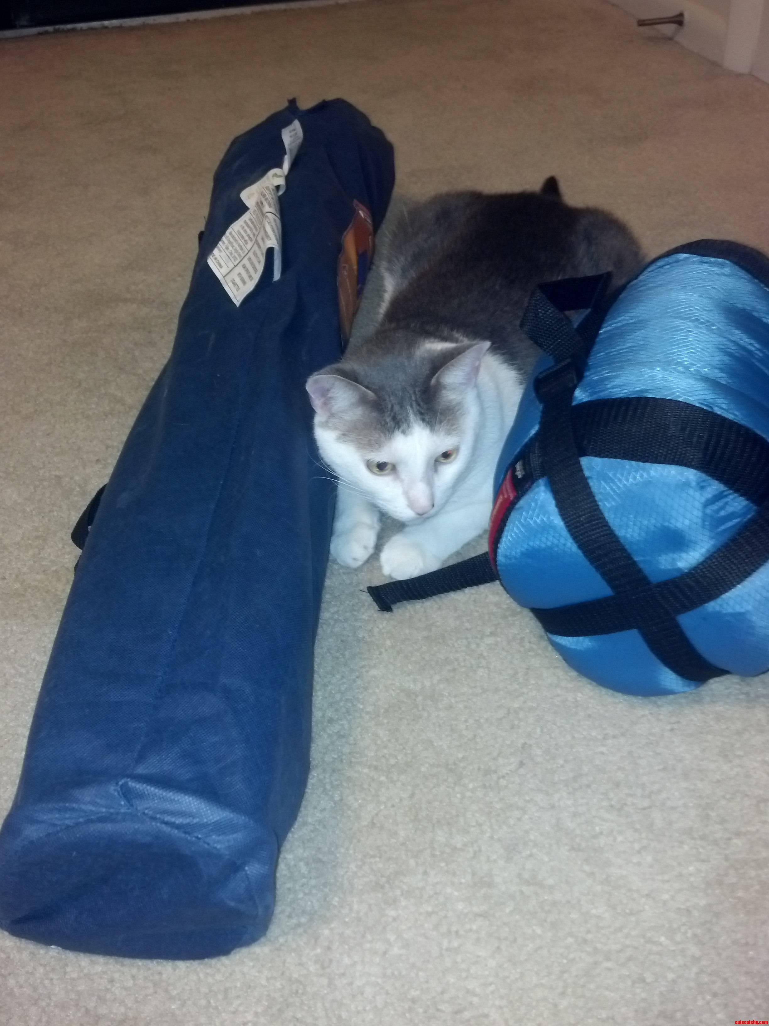 I Think He Knows I'm Leaving for the Weekend...