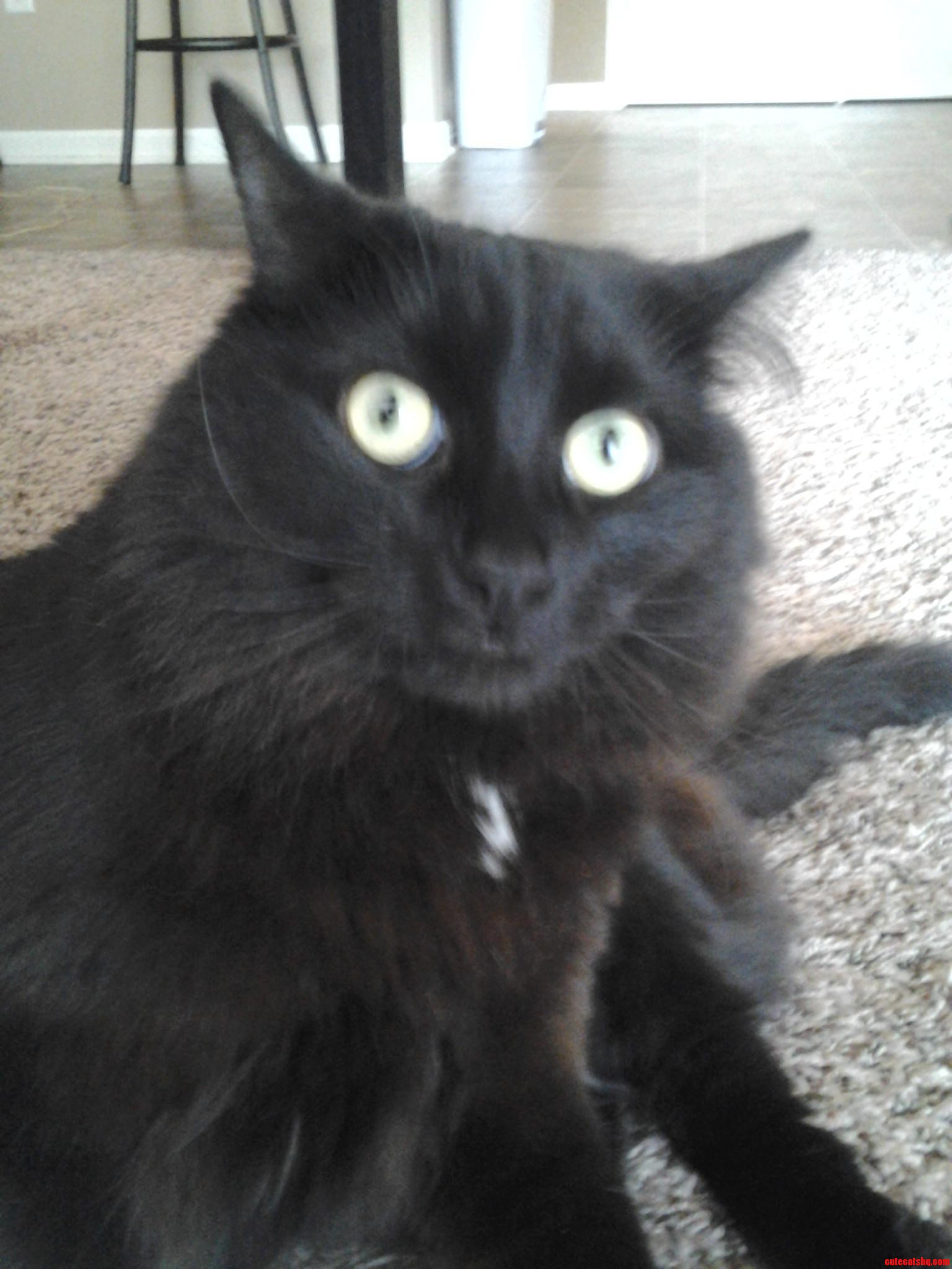 I Think I Caught Her Off Guard