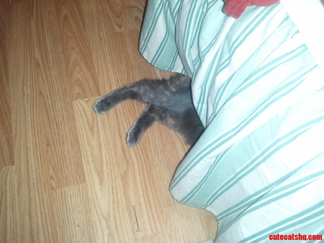I Think Its a One Leg Out from Under the Covers Kinda Thing