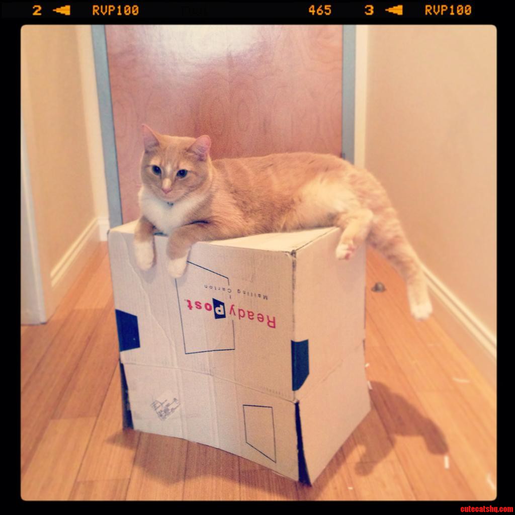 If It Fits It Ships... Doesn T Look Like This Will