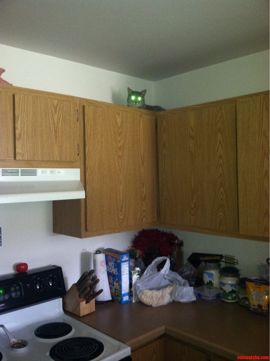 I'm Gone for a Few Hours and Come Home to This...