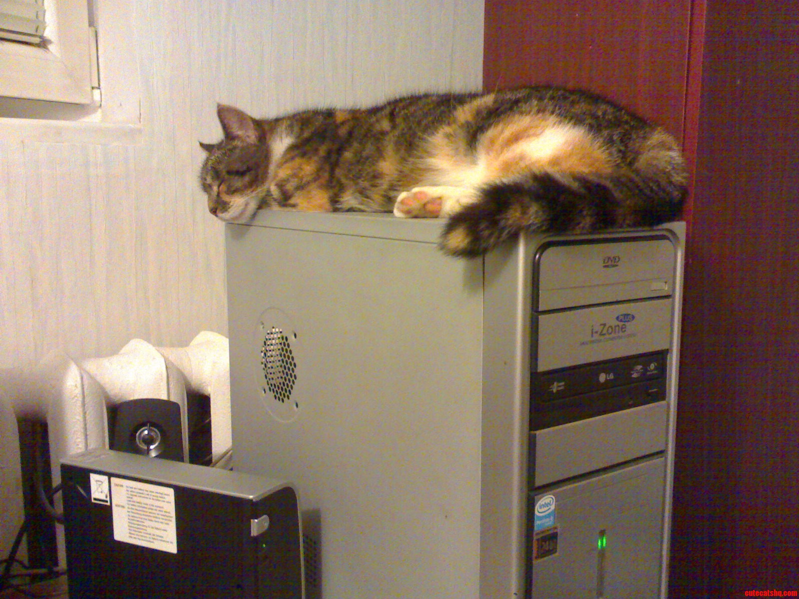 It Cat on a Break