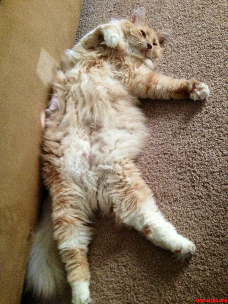 It Must Be Nice to Be This Relaxed.