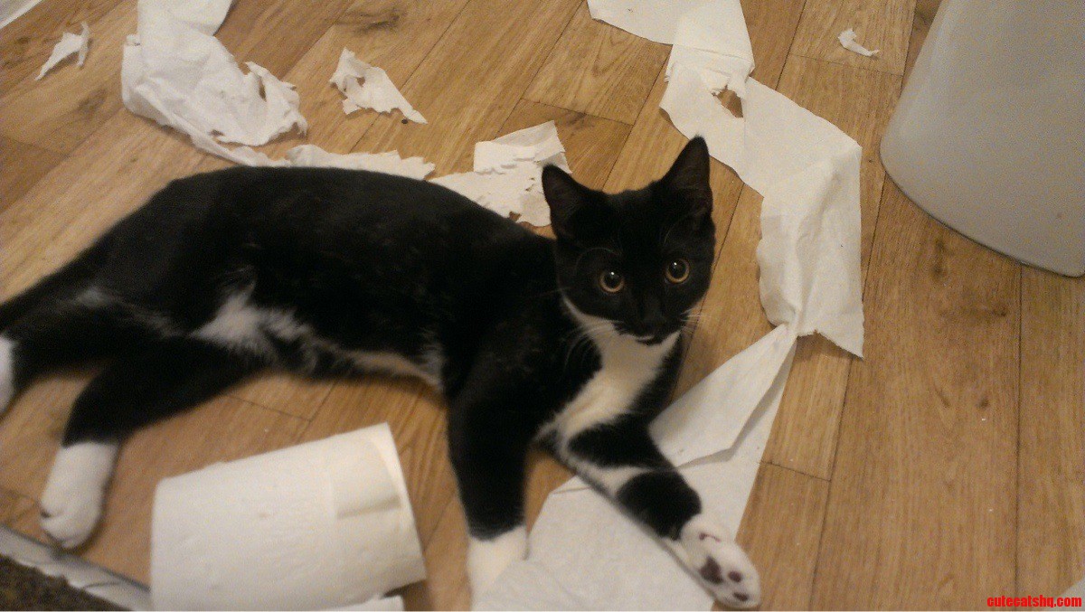 It Wasn T Me.. It Just Happened...