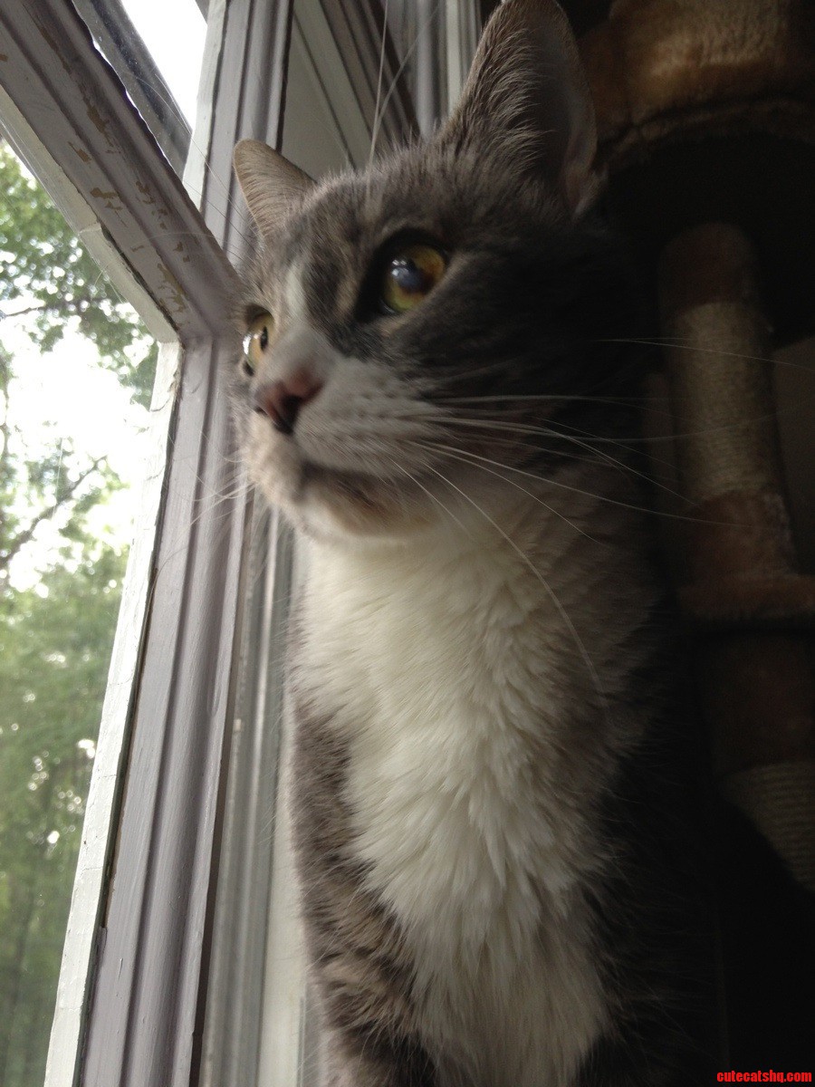 Jack Is Vigilant